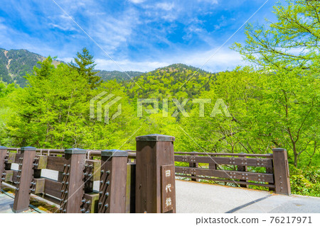 初夏的上高地梓川和田代橋[長野縣] 76217971