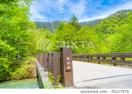 初夏的上高地梓川和田代橋[長野縣] 76217978