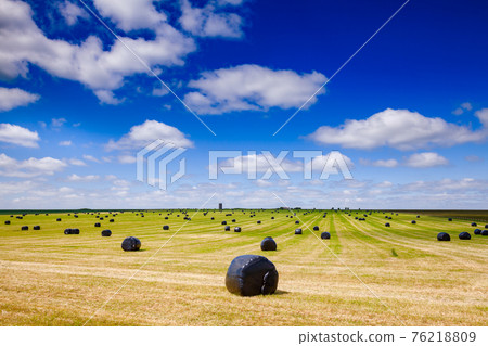 Summer rural landscape with silage bales on a field in Southern England UK 76218809