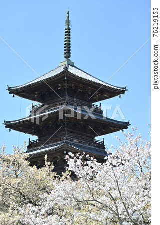 Spring scenery of Bitchū Kokubunji Temple in Kurashiki, Okayama Prefecture (Sakura) Spring scenery of Bitchū Kokubunji Temple in Kurashiki, Okayama Prefecture (Sakura) 76219155