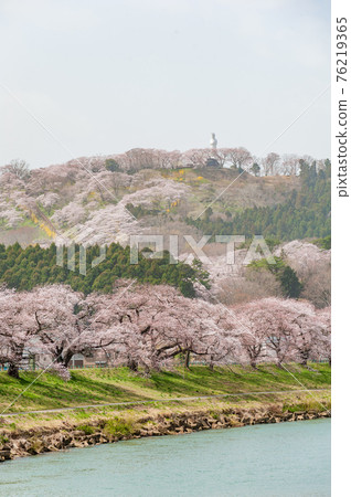 First glance at Senbonzakura First glance at Senbonzakura 76219365
