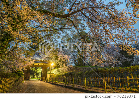 《愛知縣》名古屋城二之丸大手二之門櫻花夜景 《愛知縣》名古屋城二之丸大手二之門櫻花夜景 76219371
