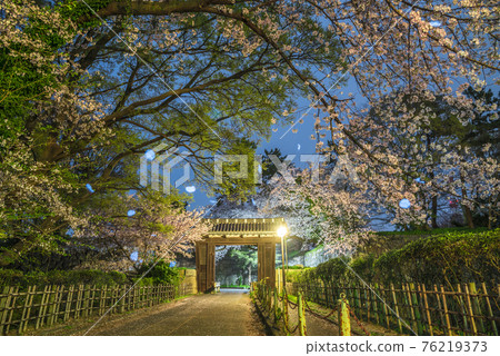 《愛知縣》名古屋城二之丸大手二之門櫻花夜景 《愛知縣》名古屋城二之丸大手二之門櫻花夜景 76219373