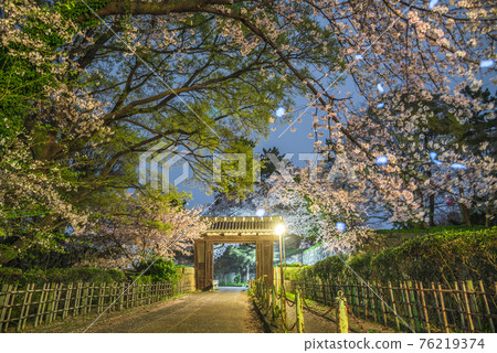 《愛知縣》名古屋城二之丸大手二之門櫻花夜景 《愛知縣》名古屋城二之丸大手二之門櫻花夜景 76219374