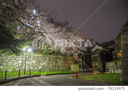 《愛知縣》名古屋城二之丸大手二之門櫻花夜景 《愛知縣》名古屋城二之丸大手二之門櫻花夜景 76219375