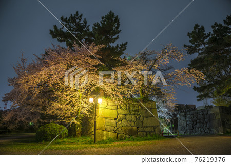 《愛知縣》名古屋城二之丸大手二之門櫻花夜景 《愛知縣》名古屋城二之丸大手二之門櫻花夜景 76219376