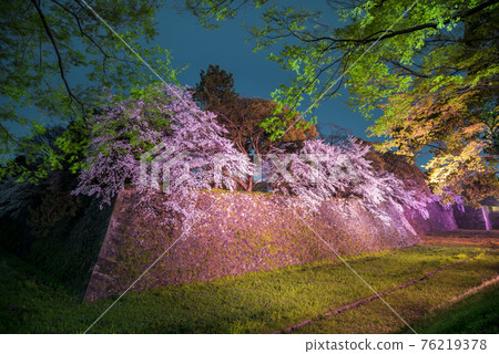 《愛知縣》名古屋城櫻花夜景 《愛知縣》名古屋城櫻花夜景 76219378