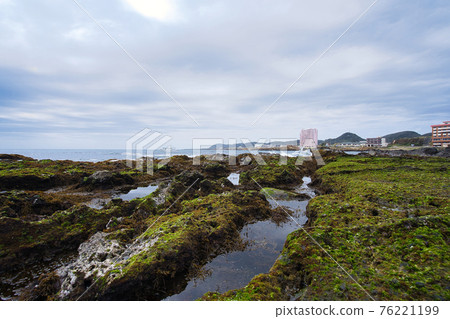 Blue moss and seaside resort Blue moss and seaside resort 76221199