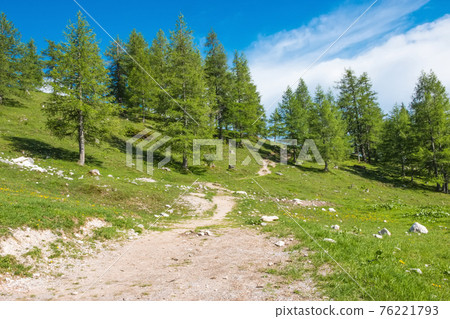 Trekking route in National park Dachstein, Austria. Away alpine mountains and green forest 76221793