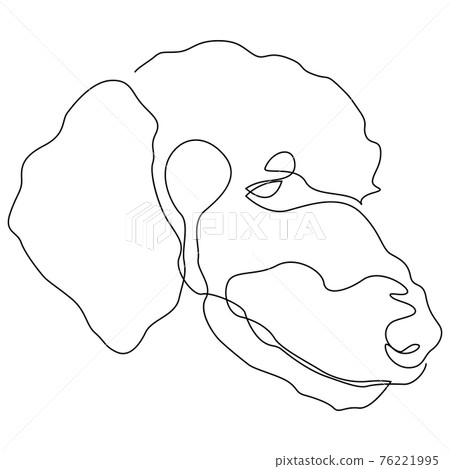 Single continuous line poodle dog portrait. Dog head one line drawing. Vector illustration. 76221995