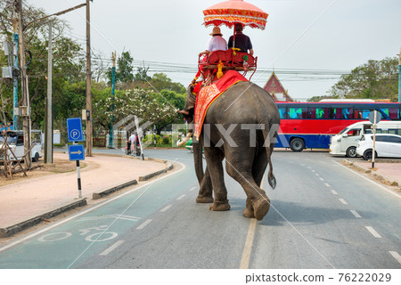 Tourist riders on elephant on city road 76222029