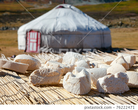 Mongolian Aaruul or Gurt sun drying cheese with ger in background Mongolian Aaruul or Gurt sun drying cheese with ger in background 76222471
