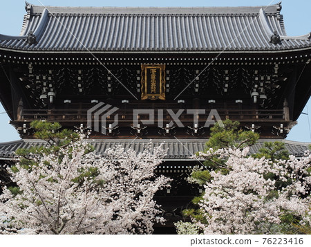 Kyoto Higashiyama cherry blossoms at Kinkai Komyoji Temple 76223416