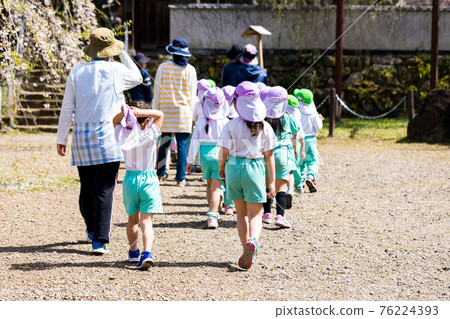 埼玉縣秩父市岩松山青雲寺的垂櫻和幼兒園的孩子們 76224393