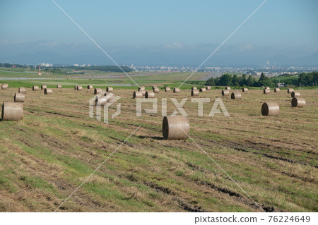 草地和機場內襯著草卷 草地和機場內襯著草卷 76224649