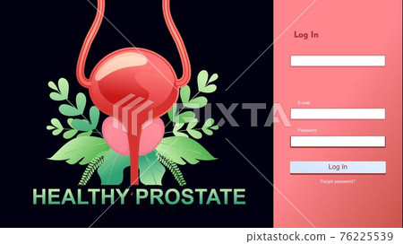 medical concept internal organ prostate medical concept internal organ prostate 76225539
