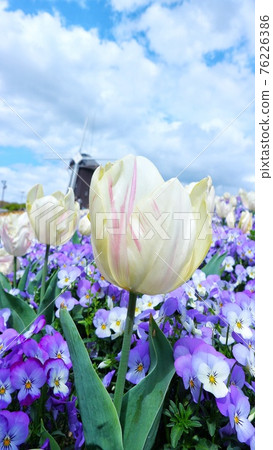 Osaka Tsurumi Ryokuchi Park Spring scenery 76226386