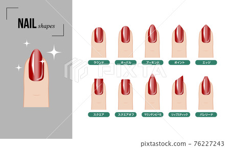 Nail Shapes Illustration High-Res Vector Graphic - Getty Images