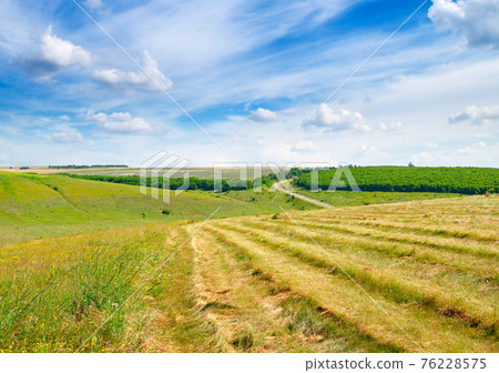 Scenic landscape of farm field. Scenic landscape of farm field. 76228575
