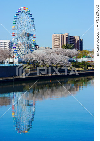 櫻花盛開的隅田川和荒川遊樂園海鷗的新摩天輪 76229633