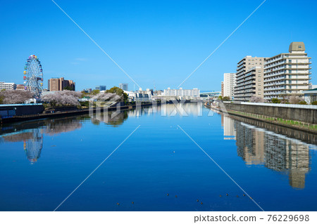 荒川遊樂園的新摩天輪和盛開的櫻花 荒川遊樂園的新摩天輪和盛開的櫻花 76229698