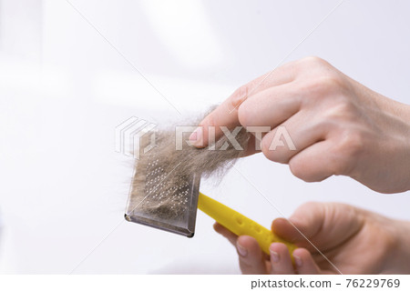 Cleaning pet hair with a remover. Hand and fur of a cat. Cleaning furniture from wool. A household cleaner for dandruff, hair, debris, hair and pet fluff Cleaning pet hair with a remover. Hand and fur of a cat. Cleaning furniture from wool. A household cleaner for dandruff, hair, debris, hair and pet fluff 76229769