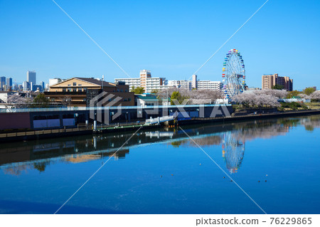 Arakawa Amusement Park's new Ferris wheel and cherry blossoms in full bloom Sunshine Arakawa Amusement Park's new Ferris wheel and cherry blossoms in full bloom Sunshine 76229865