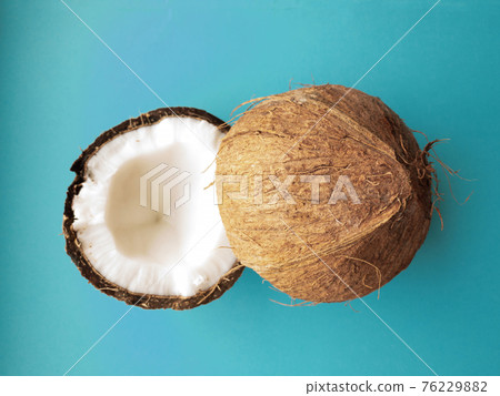 Coconut tree fruit coconut split into two halves isolated on blue background Coconut tree fruit coconut split into two halves isolated on blue background 76229882