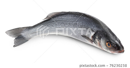 Sea bass fich isolated on white background with clipping path and full depth of field. 76230238