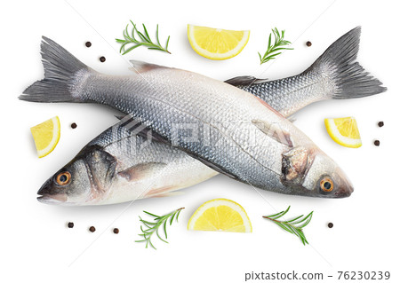 Sea bass fich isolated on white background with clipping path. Top view. Flat lay 76230239