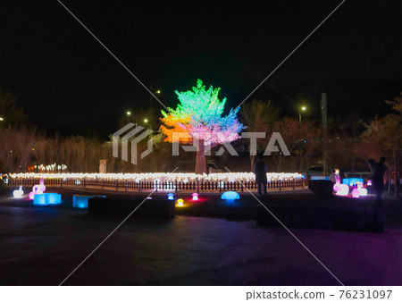 Night view of Jinhaeru light street, Changwon, Gyeongnam, South Korea, Asia Night view of Jinhaeru light street, Changwon, Gyeongnam, South Korea, Asia 76231097