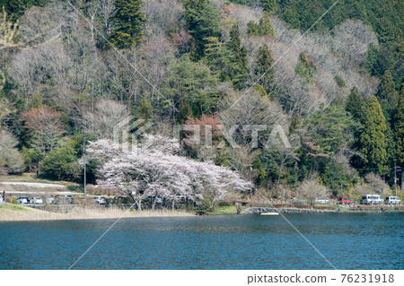 春天四月的狸湖湖畔風光 春天四月的狸湖湖畔風光 76231918