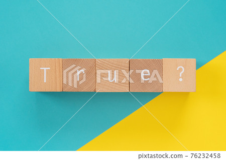 For real? ｜ Building block with "Ture?" 76232458