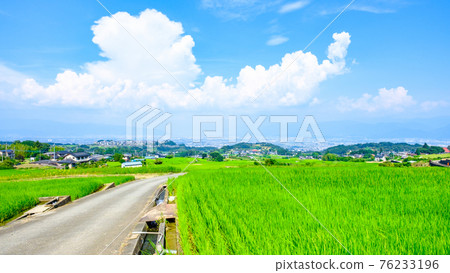 中野田田（8月） 76233196