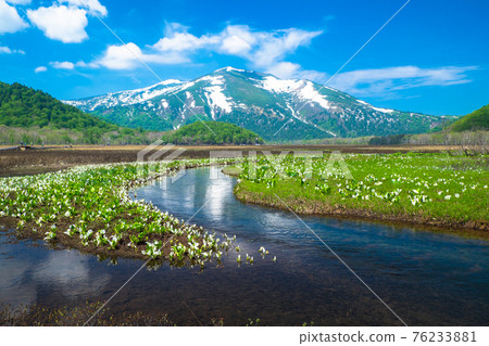 Oze water basho 76233881