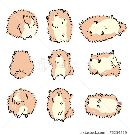 Hand-painted Pomeranian illustration, navel heaven, hurray, back view, cream orange Hand-painted Pomeranian illustration, navel heaven, hurray, back view, cream orange 76234219
