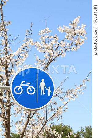 Road sign that separates the bicycle lane and the pedestrian lane (Spring, Korea) 76234392