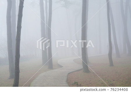 濱海藝術中心 76234408