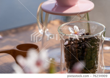 賞花咖啡 戶外咖啡 櫻花 76234909