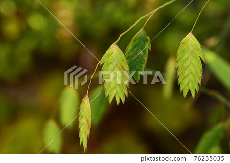 向上螺旋上升 向上螺旋上升 76235035