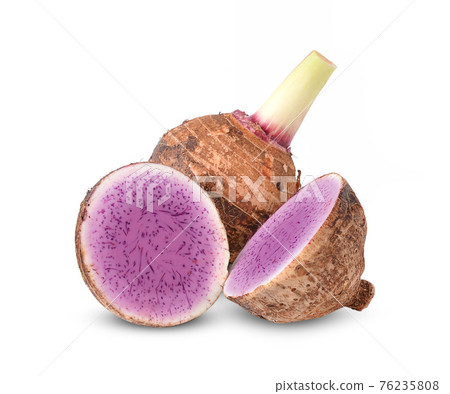 Taro, sliced of taro isolated on white background taro isolated on white background Taro, sliced of taro isolated on white background taro isolated on white background 76235808