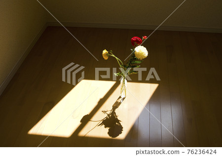 There are flowers in a vase on the floor of the room. 76236424