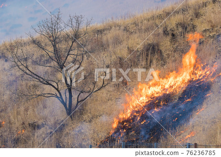 Yufuin, Yufudake open burning 76236785