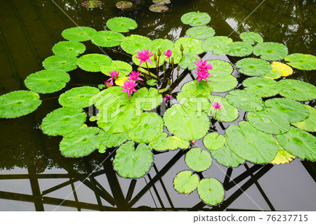 training training 76237715