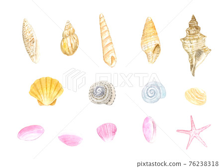 貝殼設置水彩插圖 貝殼設置水彩插圖 76238318