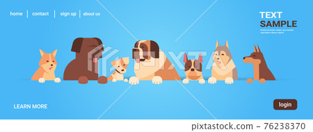 group of purebred dogs furry human friends home pets concept cartoon animals portrait horizontal copy space group of purebred dogs furry human friends home pets concept cartoon animals portrait horizontal copy space 76238370