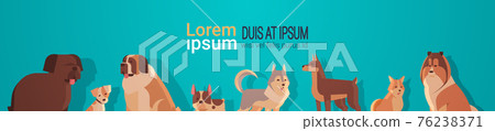 group of purebred dogs furry human friends home pets collection concept cartoon animals copy space horizontal group of purebred dogs furry human friends home pets collection concept cartoon animals copy space horizontal 76238371