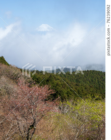 Scenery from the Darumayama Kogen Observatory in spring March 76239092