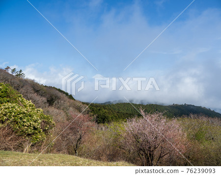 Scenery from the Darumayama Kogen Observatory in spring March Scenery from the Darumayama Kogen Observatory in spring March 76239093