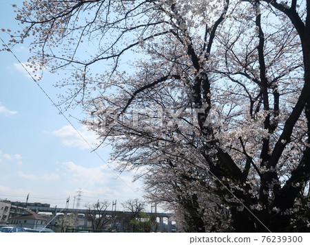 新百靈丘風景 76239300